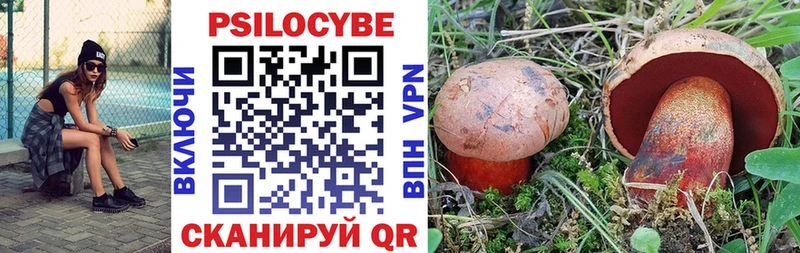 Галлюциногенные грибы GOLDEN TEACHER  Новочебоксарск 